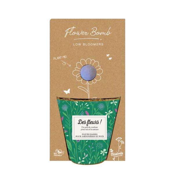 Blossombs - Kit de semis - Des fleurs - 1 bombe à graines - BIO - face recto